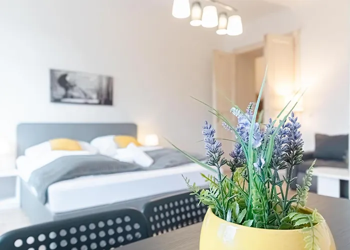 Affordable 2 Apts For 14p, 4br Great For Families * Vienna